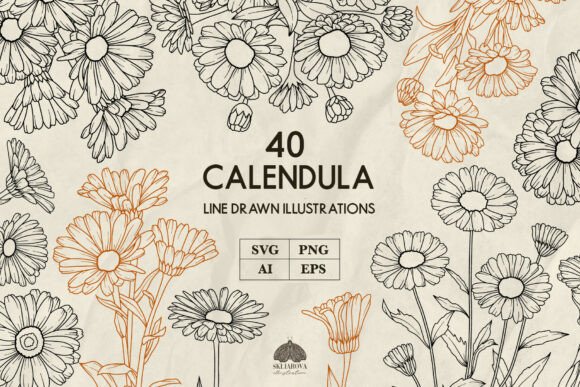 Calendula Flower Line Art Svg Png: A Creative Toolkit