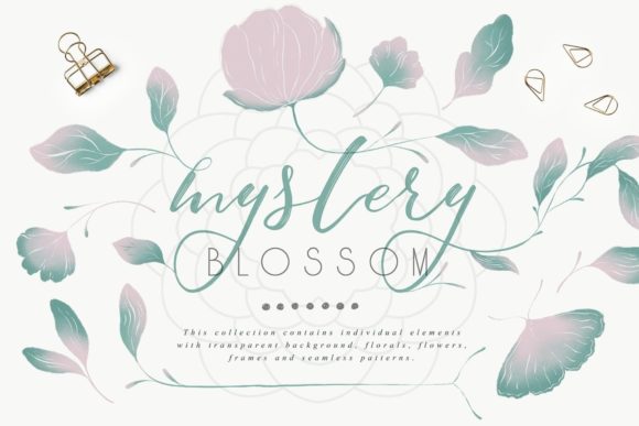 Mystery Blossom Collection: Curating Organic Brand Identities