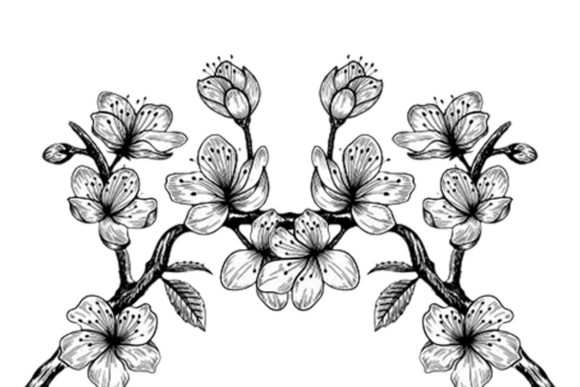 Sakura Cherry Blossom Branch Line Art: A Designer's Guide