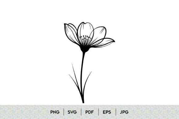 The Enduring Appeal of Single Flower Line Art Design