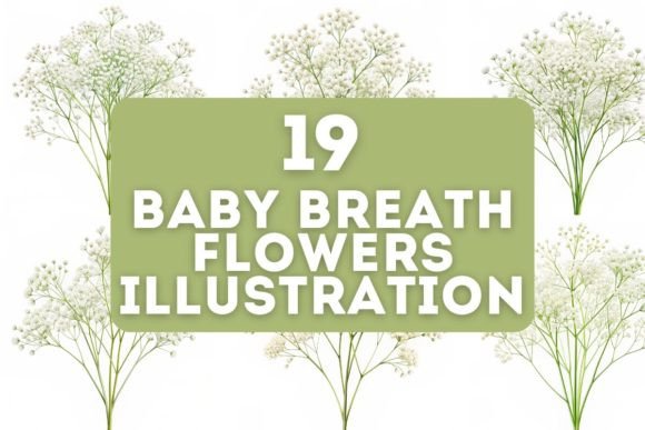 The Subtle Power of 19 Baby Breath Flowers Illustration