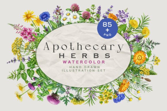 Timeless Botanical Art: The Apothecary Herbs Illustration Set